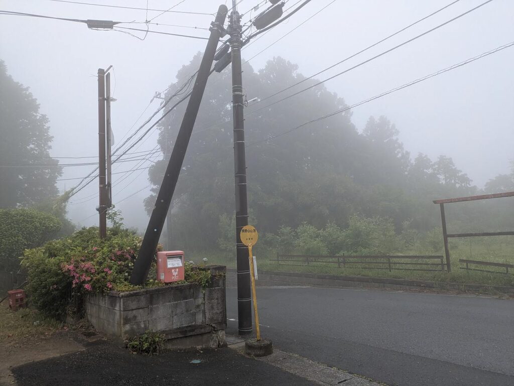 霧に包まれた鹿野山山頂バス停付近。2回目の登坂練習で登坂適応を確認した場面です。